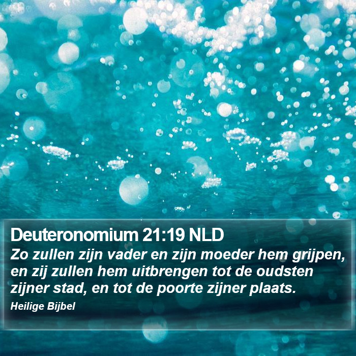 Deuteronomium 21:19 NLD Bible Study