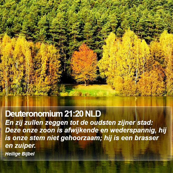 Deuteronomium 21:20 NLD Bible Study