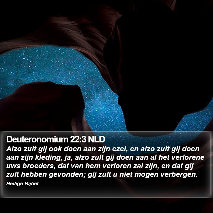 Deuteronomium 22:3 NLD Bible Study