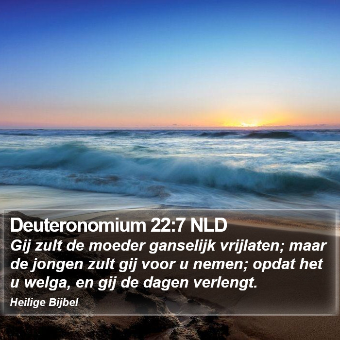 Deuteronomium 22:7 NLD Bible Study