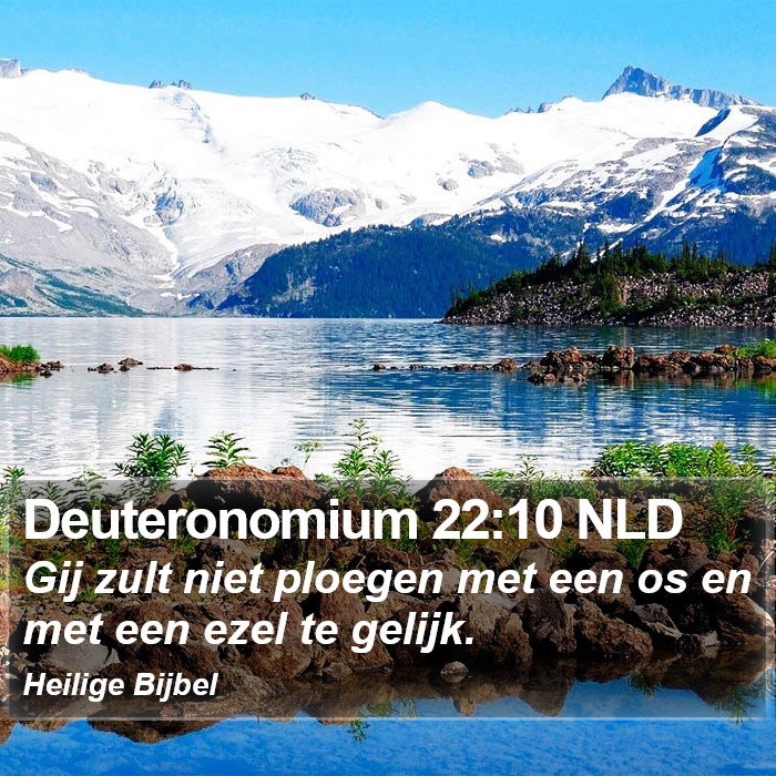 Deuteronomium 22:10 NLD Bible Study