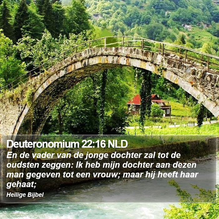 Deuteronomium 22:16 NLD Bible Study