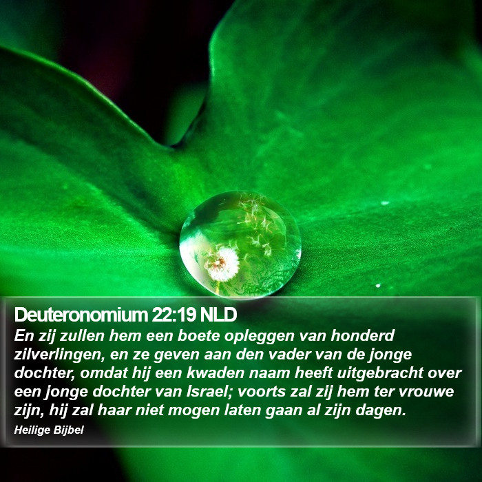 Deuteronomium 22:19 NLD Bible Study