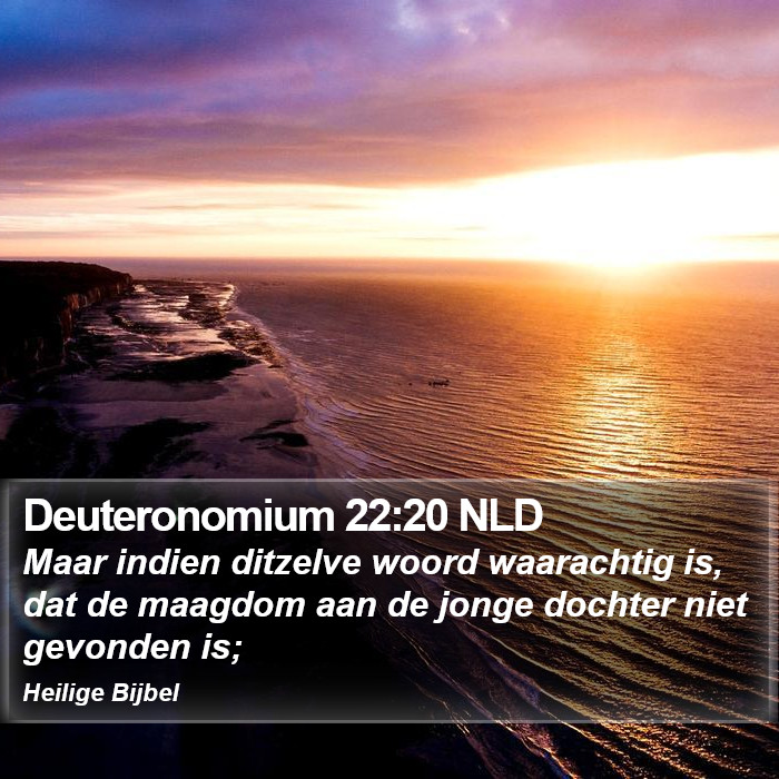 Deuteronomium 22:20 NLD Bible Study