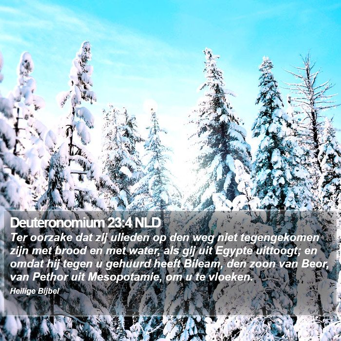 Deuteronomium 23:4 NLD Bible Study