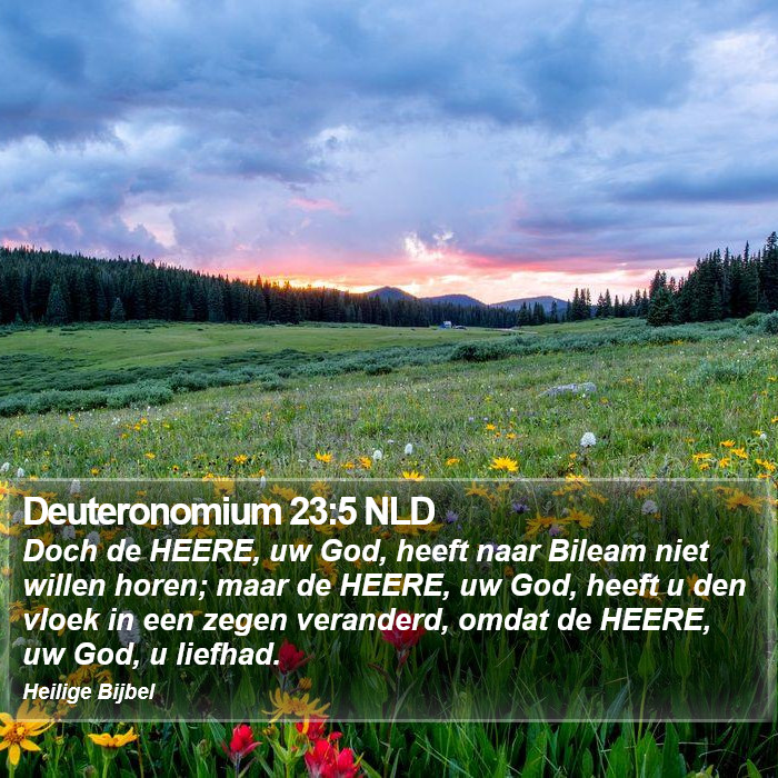 Deuteronomium 23:5 NLD Bible Study