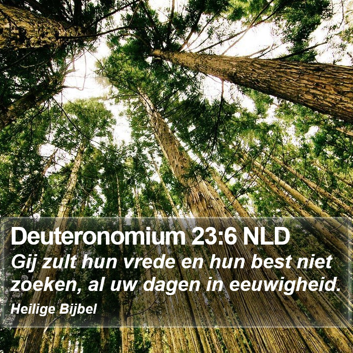 Deuteronomium 23:6 NLD Bible Study