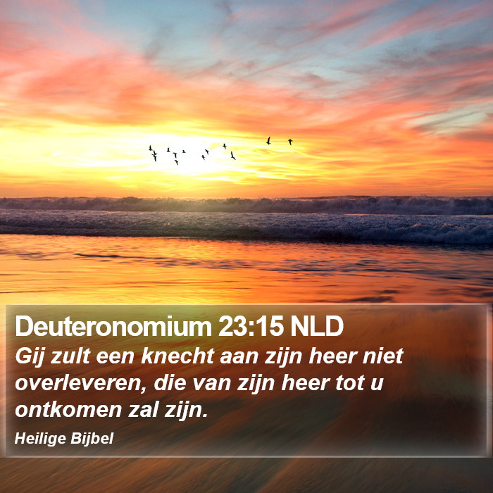 Deuteronomium 23:15 NLD Bible Study