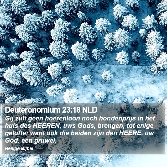 Deuteronomium 23:18 NLD Bible Study