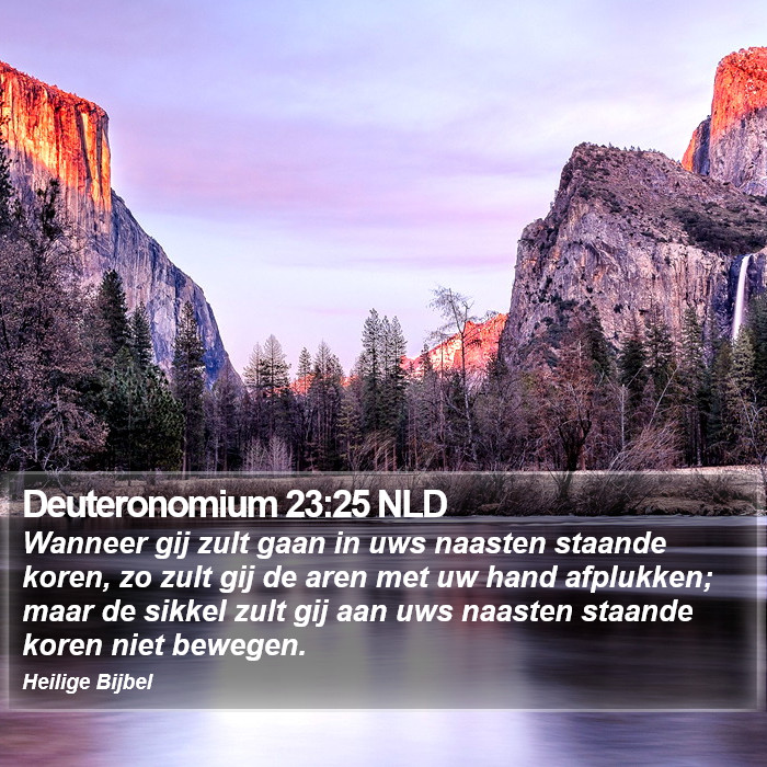 Deuteronomium 23:25 NLD Bible Study