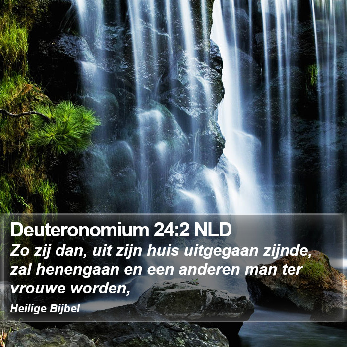 Deuteronomium 24:2 NLD Bible Study