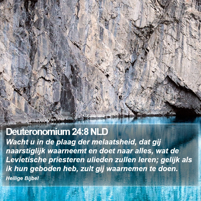 Deuteronomium 24:8 NLD Bible Study