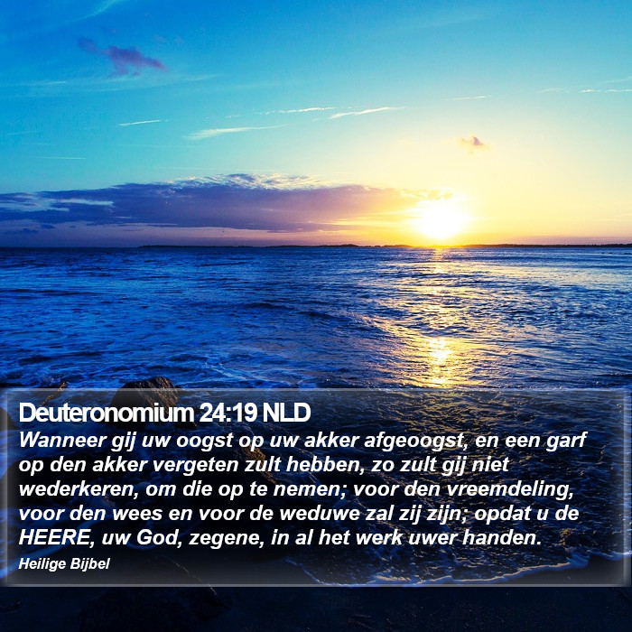 Deuteronomium 24:19 NLD Bible Study