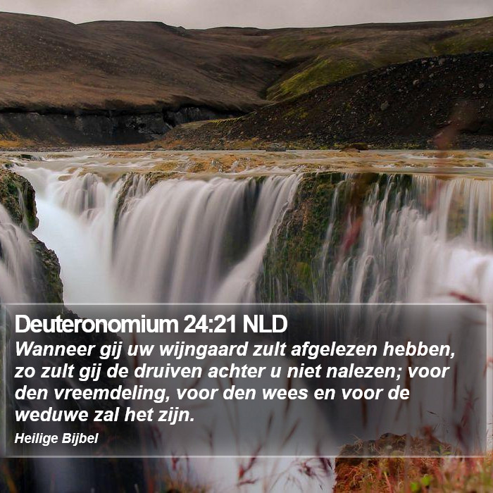 Deuteronomium 24:21 NLD Bible Study