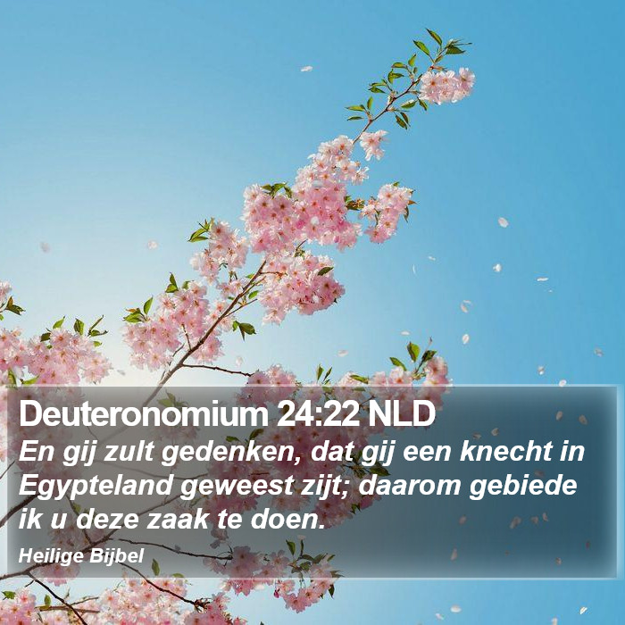 Deuteronomium 24:22 NLD Bible Study