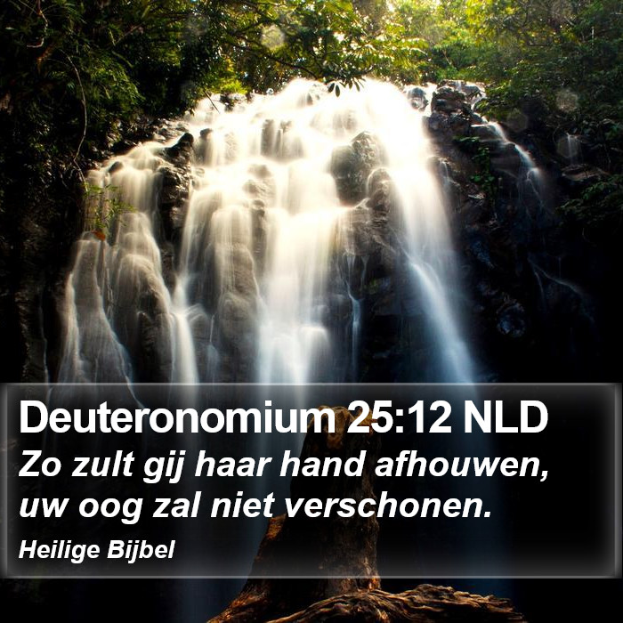 Deuteronomium 25:12 NLD Bible Study