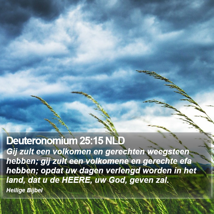 Deuteronomium 25:15 NLD Bible Study