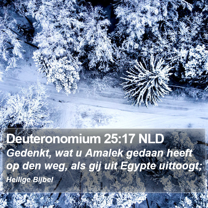 Deuteronomium 25:17 NLD Bible Study