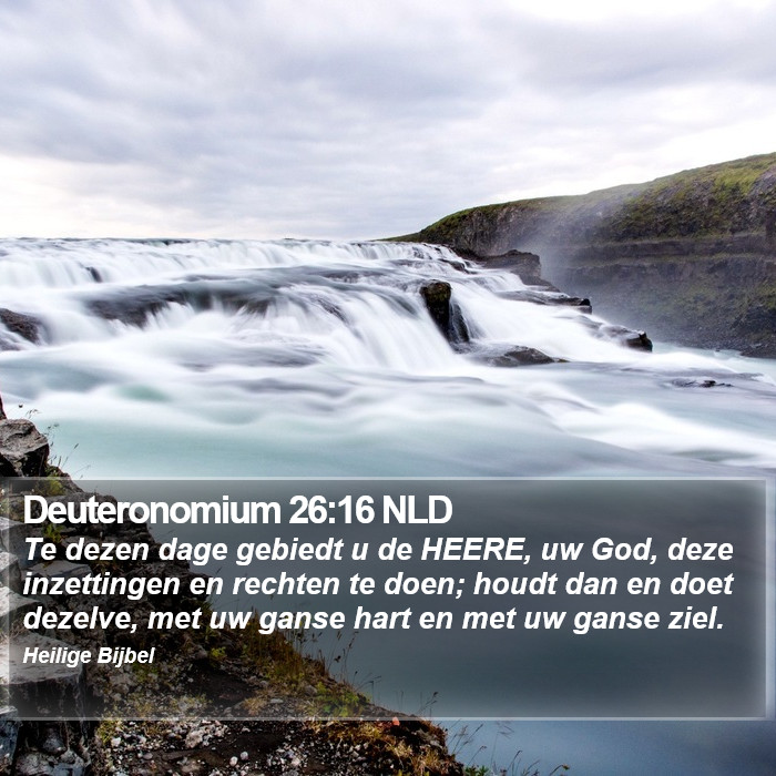 Deuteronomium 26:16 NLD Bible Study