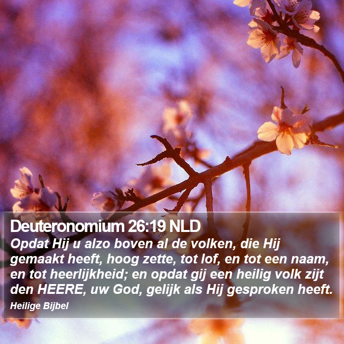 Deuteronomium 26:19 NLD Bible Study