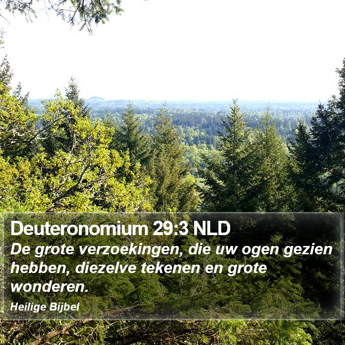 Deuteronomium 29:3 NLD Bible Study