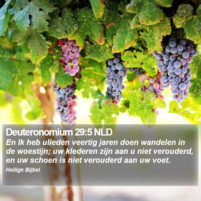 Deuteronomium 29:5 NLD Bible Study