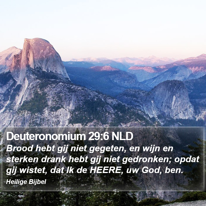 Deuteronomium 29:6 NLD Bible Study