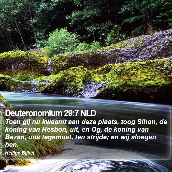 Deuteronomium 29:7 NLD Bible Study