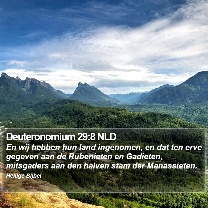 Deuteronomium 29:8 NLD Bible Study