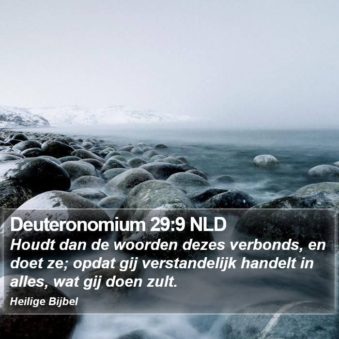 Deuteronomium 29:9 NLD Bible Study