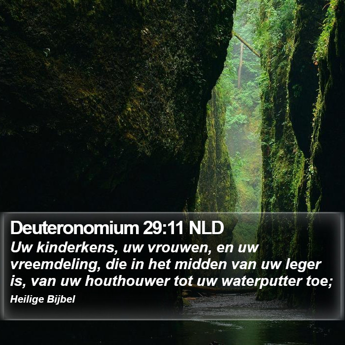 Deuteronomium 29:11 NLD Bible Study