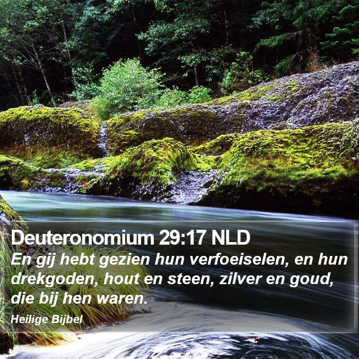 Deuteronomium 29:17 NLD Bible Study