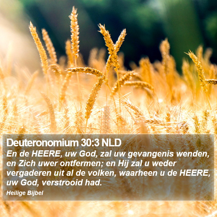 Deuteronomium 30:3 NLD Bible Study