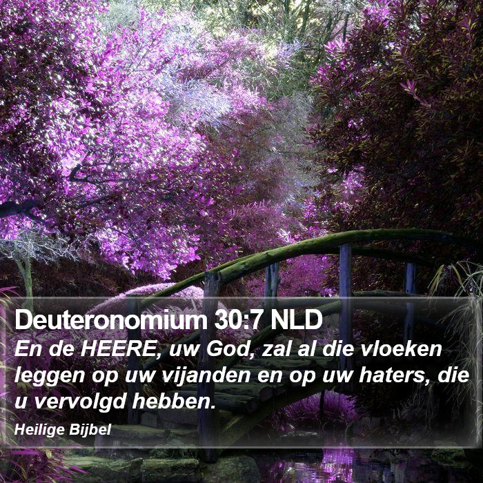 Deuteronomium 30:7 NLD Bible Study
