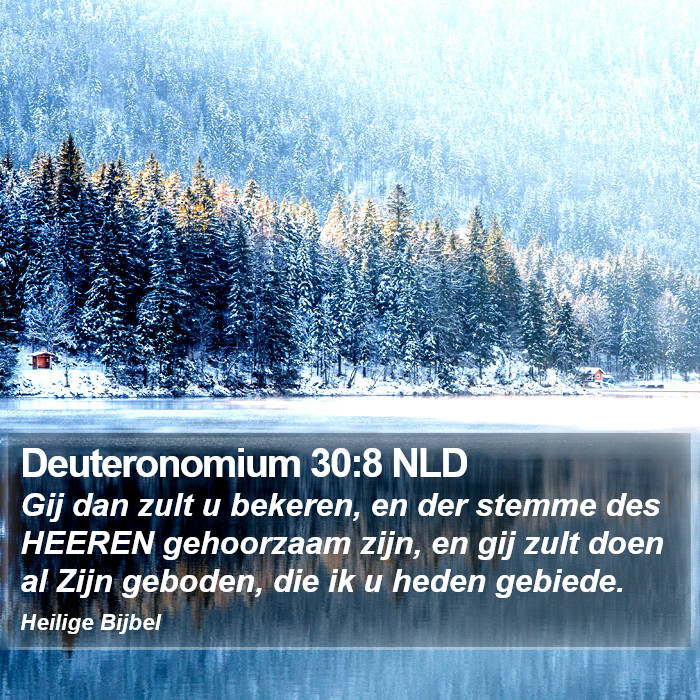Deuteronomium 30:8 NLD Bible Study
