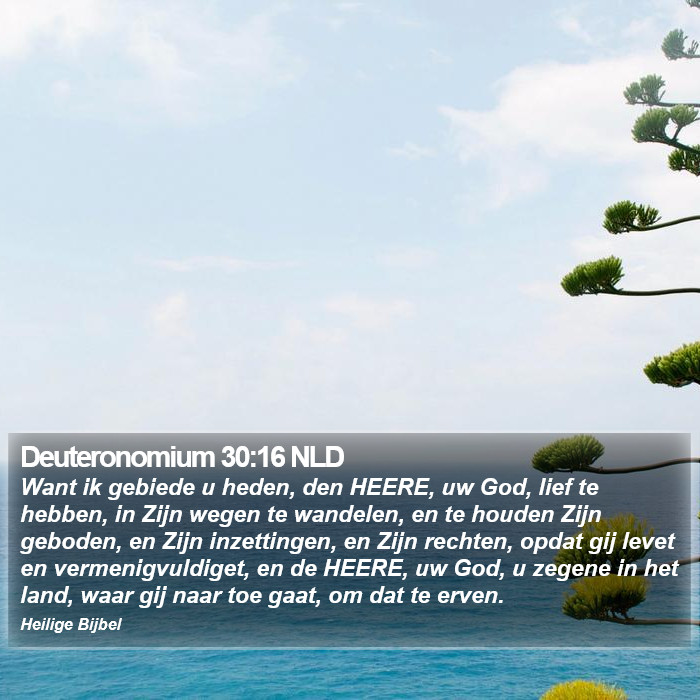 Deuteronomium 30:16 NLD Bible Study