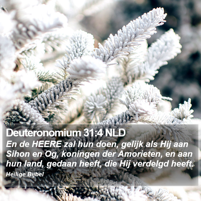 Deuteronomium 31:4 NLD Bible Study