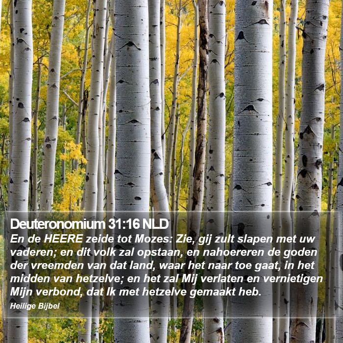 Deuteronomium 31:16 NLD Bible Study