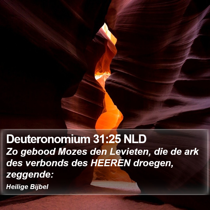Deuteronomium 31:25 NLD Bible Study
