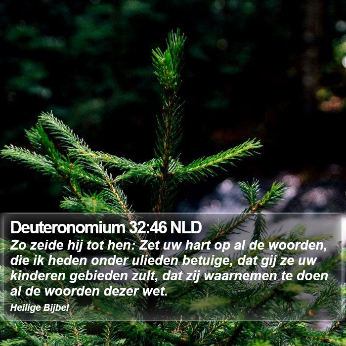 Deuteronomium 32:46 NLD Bible Study