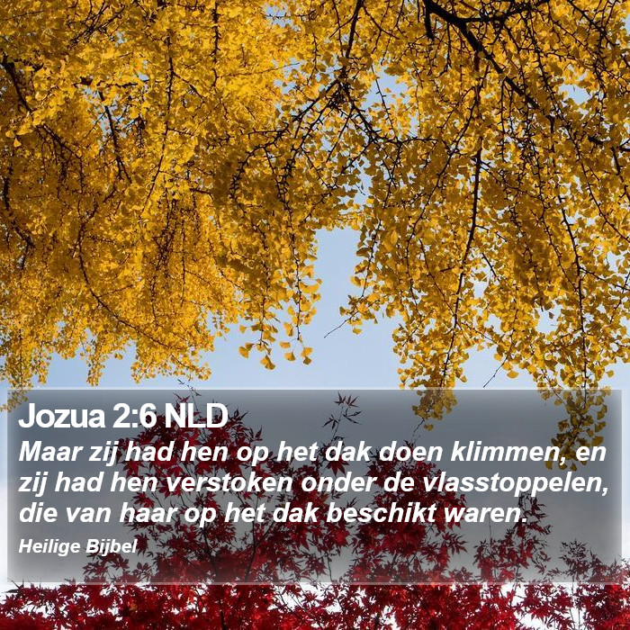Jozua 2:6 NLD Bible Study