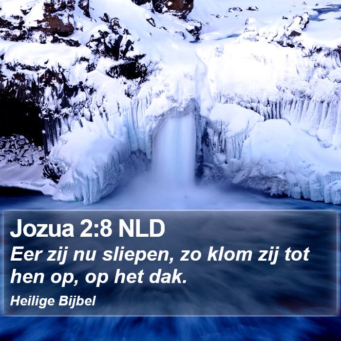 Jozua 2:8 NLD Bible Study
