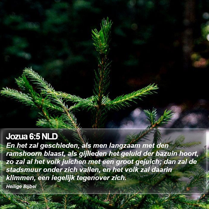 Jozua 6:5 NLD Bible Study