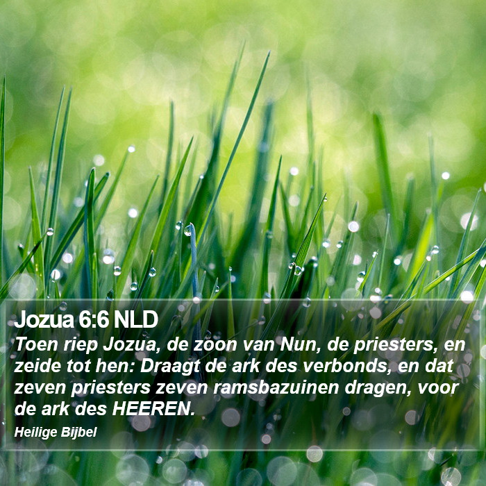 Jozua 6:6 NLD Bible Study