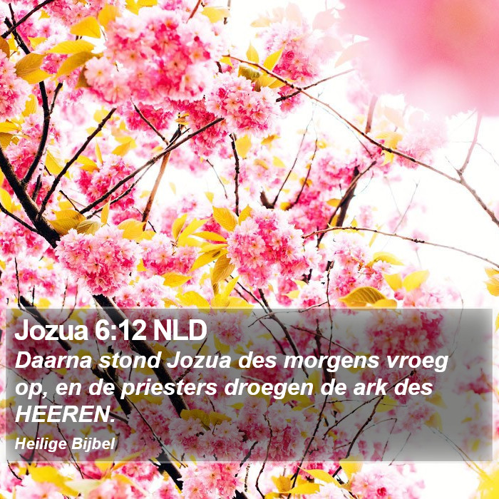 Jozua 6:12 NLD Bible Study