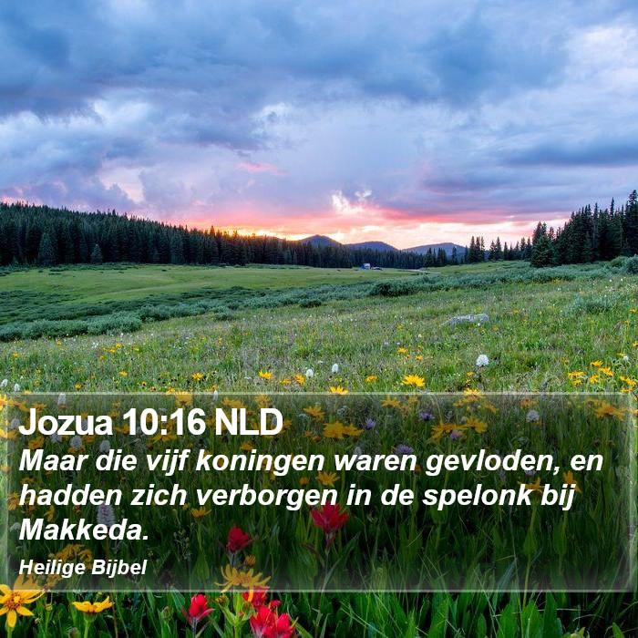Jozua 10:16 NLD Bible Study