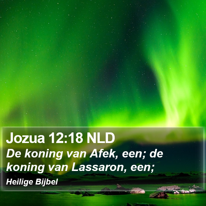 Jozua 12:18 NLD Bible Study