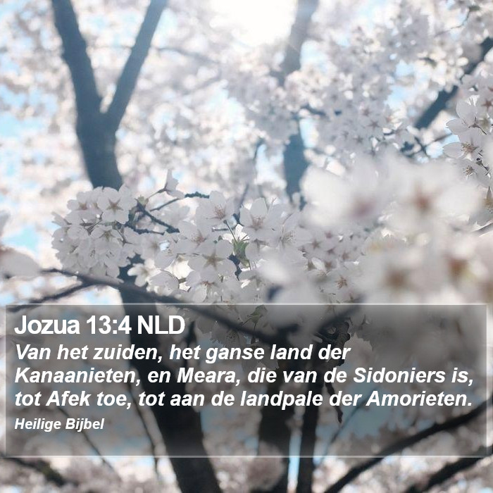 Jozua 13:4 NLD Bible Study