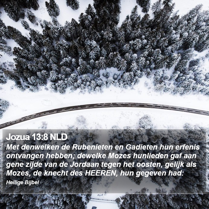 Jozua 13:8 NLD Bible Study