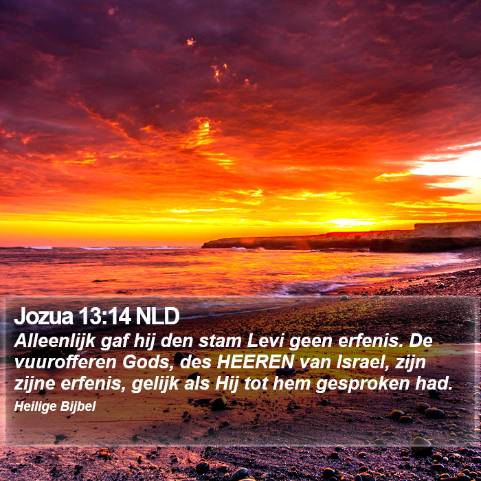 Jozua 13:14 NLD Bible Study
